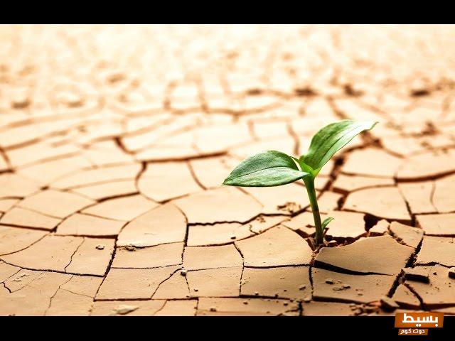 تفسير حلم رؤية الأرض في المنام 1 الأرض في المنام